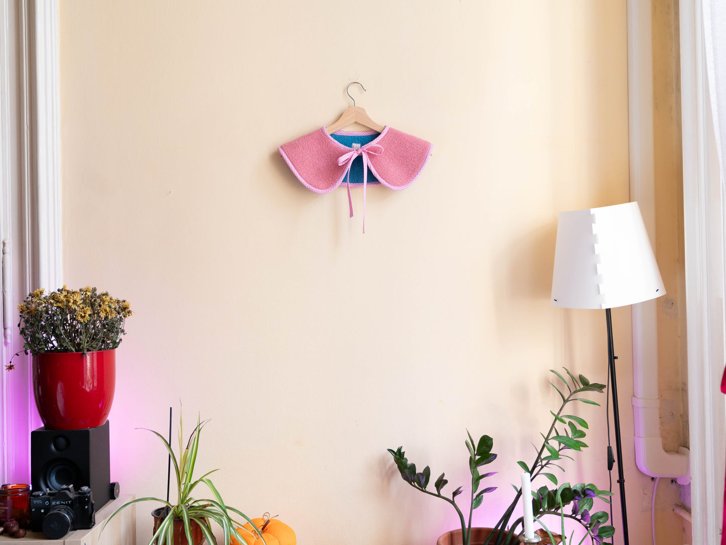 Rózsaszín-kék gallér