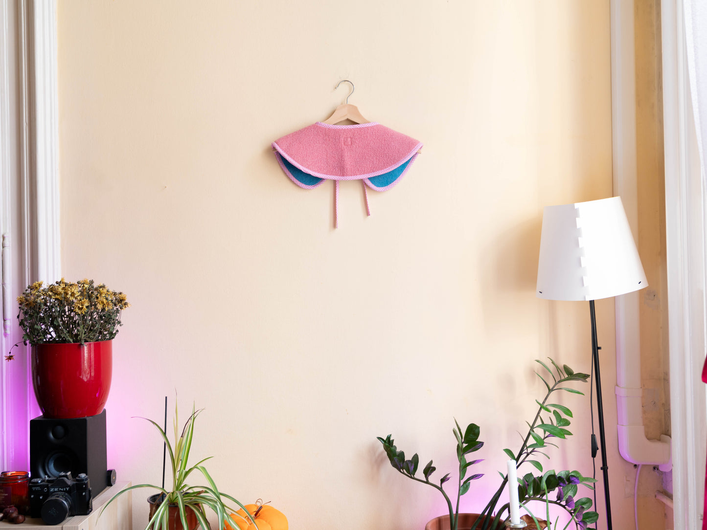 Rózsaszín-kék gallér