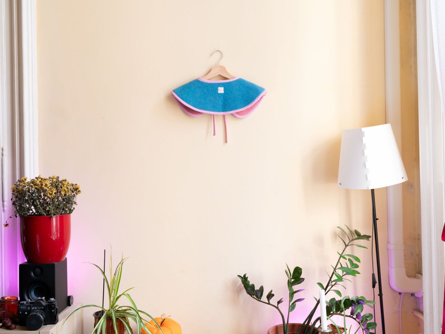 Rózsaszín-kék gallér